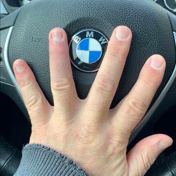 Meet your Posher, Joey - Picture 1 of 1